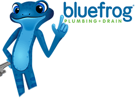 Blue Frog